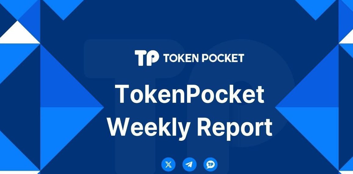TP钱包官网的更新历史与下载动态 Android Q初体验